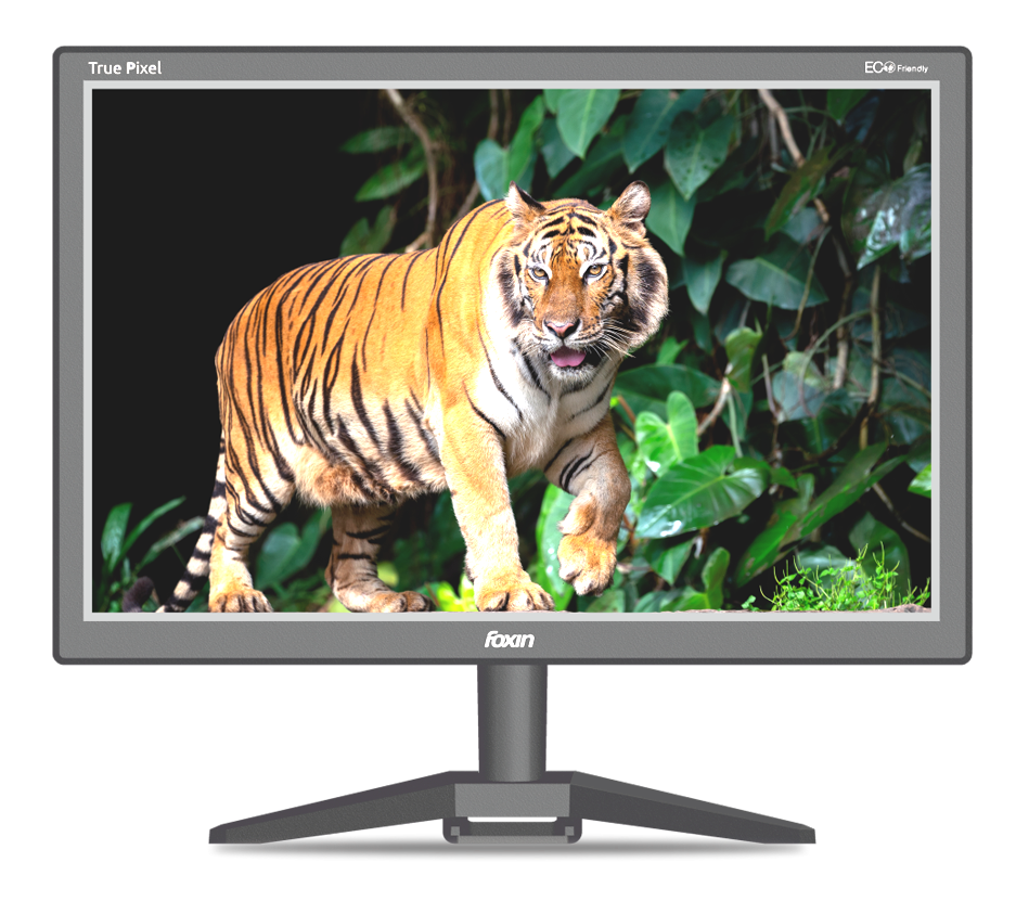 Foxin FM 1750 Crystal WD 43.5 cm | 17.1 Inch Black HD Resolution Computer Monitor - HDMI + VGA Port, True Pixel, Anti Glare,Anti Scratch &amp; Eco Friendly BIS Approved | 1 Year Warranty
