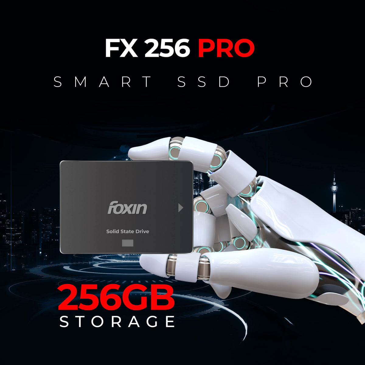 FX 256 PRO SSD