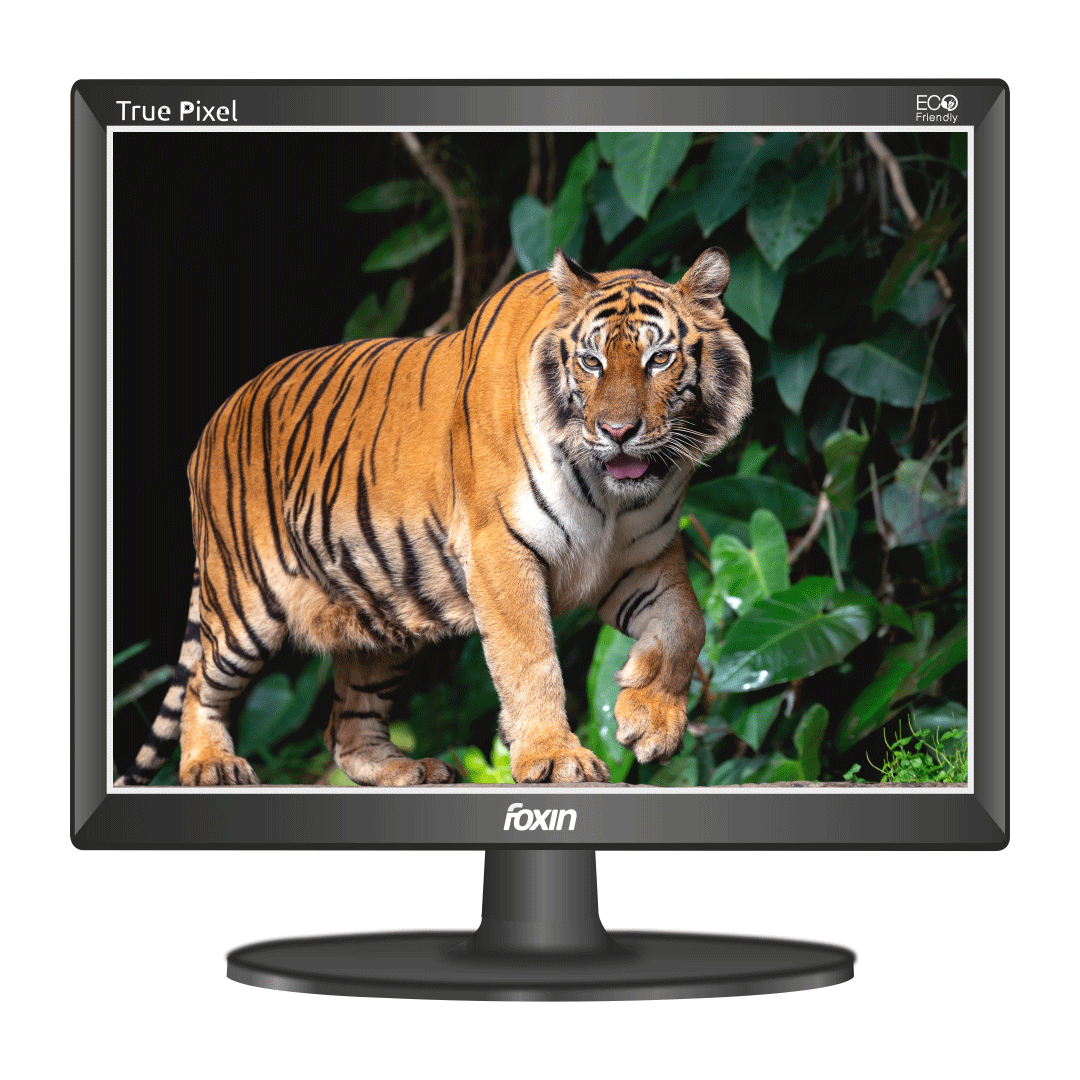 Foxin FM 1750 Crystal SQ 43.5 cm (17.5 Inch) Black HD Computer Monitor with VGA and HDMI Ports