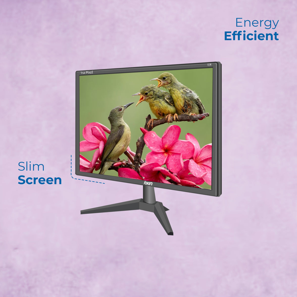 Foxin FM 1750 Crystal WD 43.5 cm | 17.1 Inch Black HD Resolution Computer Monitor - HDMI + VGA Port, True Pixel, Anti Glare,Anti Scratch &amp; Eco Friendly BIS Approved | 1 Year Warranty