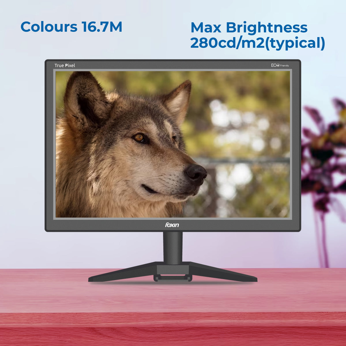 Foxin FM 1750 Crystal WD 43.5 cm | 17.1 Inch Black HD Resolution Computer Monitor - HDMI + VGA Port, True Pixel, Anti Glare,Anti Scratch &amp; Eco Friendly BIS Approved | 1 Year Warranty