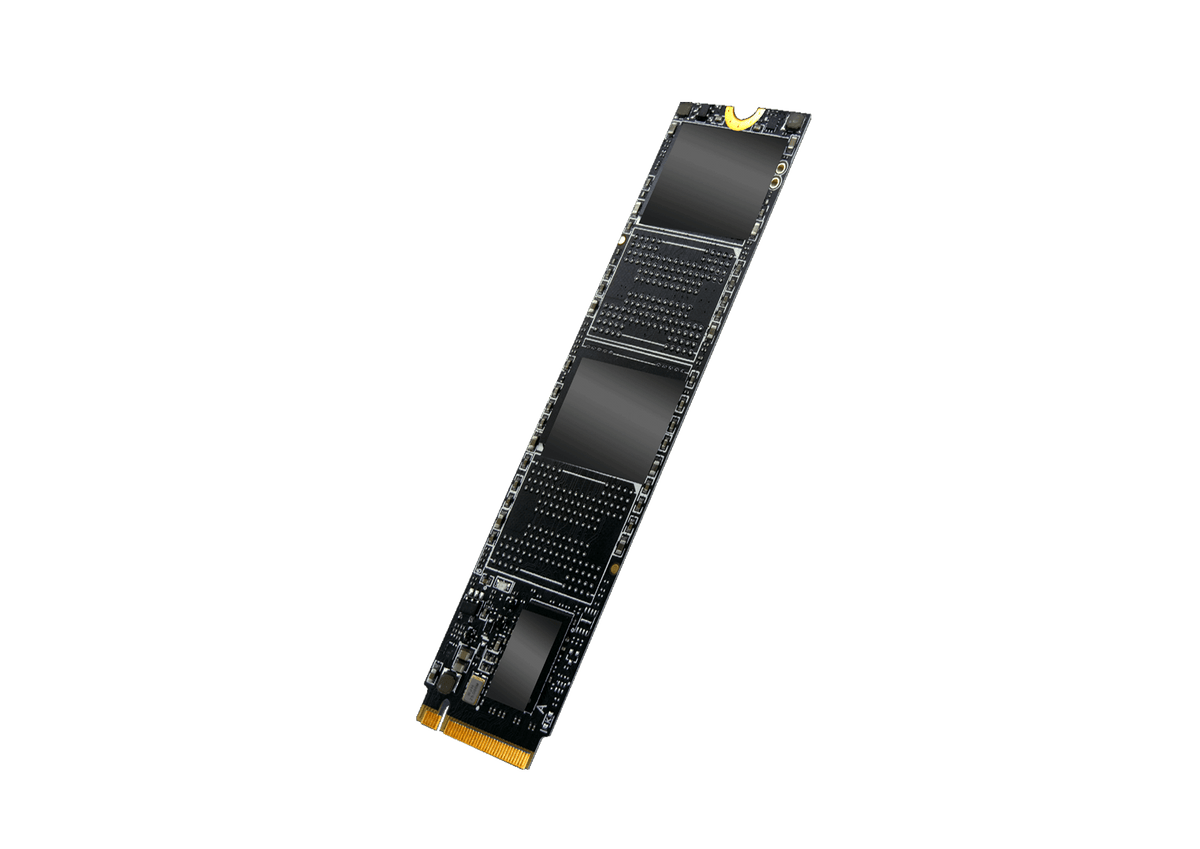 Foxin® FX 256 EXPRESS NVME