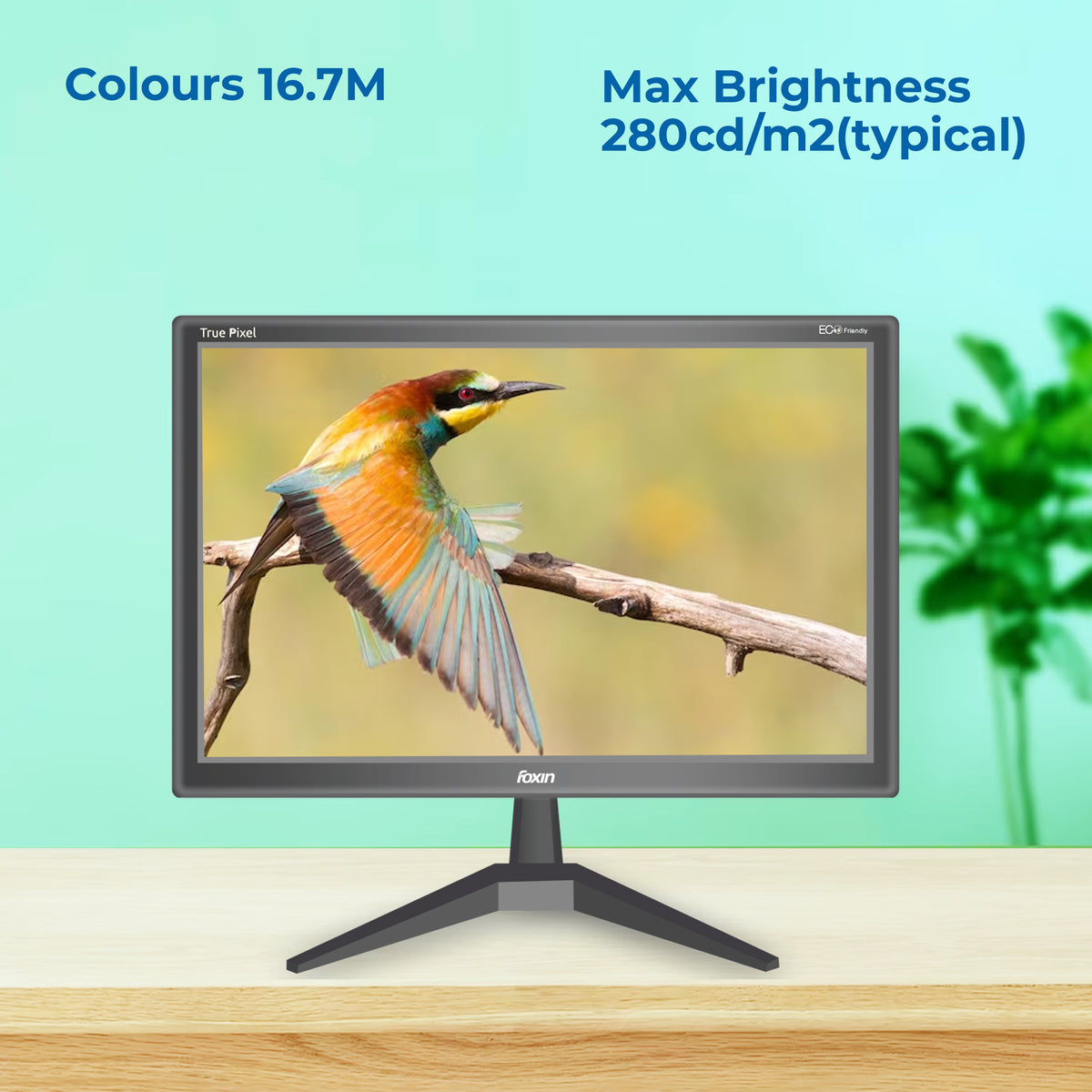 Foxin FM 1950 Crystal 19 inch (48.5 cm) Black Full HD Resolution - HDMI + VGA port, true pixel, anti glare,anti scratch &amp; Eco friendly BIS approved Computer Monitor (1440 x 900 Pixel) (HD), Black | 1 year warranty Media 1 of 7